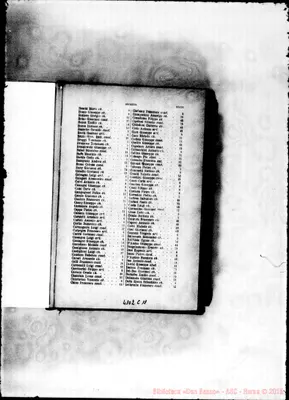 Fotogramma C 11