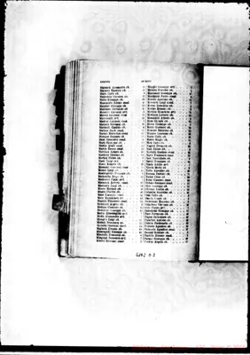 Fotogramma D 2