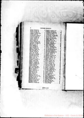 Fotogramma B 1