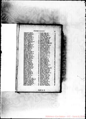 Fotogramma B 2