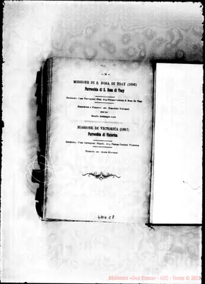 Fotogramma C 8