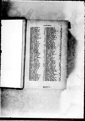 Fotogramma B 3