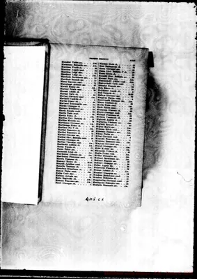 Fotogramma C 1