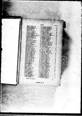 Fotogramma D 3