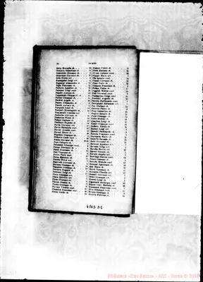 Fotogramma D 6