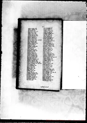 Fotogramma D 11