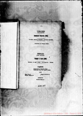 Fotogramma B 8