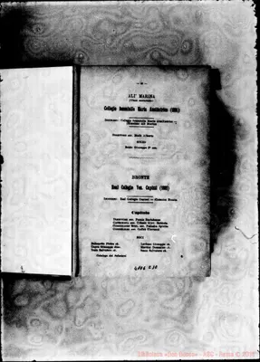 Fotogramma C 10