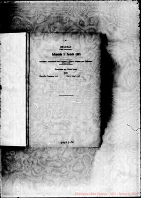 Fotogramma D 12