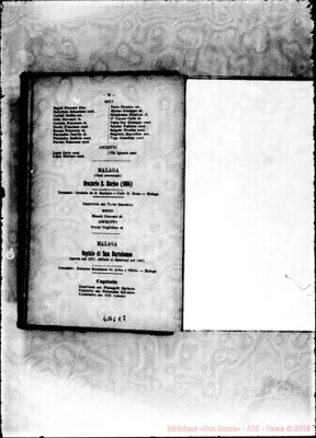 Fotogramma E 7