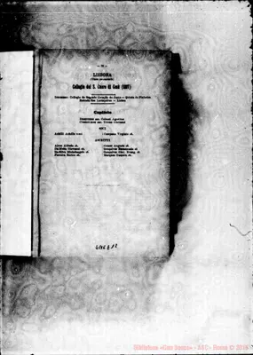 Fotogramma E 12