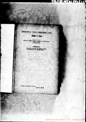 Fotogramma D 12