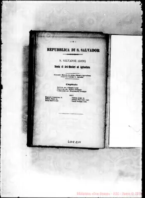 Fotogramma B 11