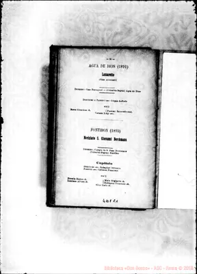 Fotogramma C 1