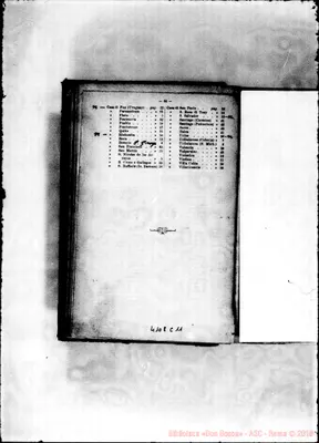 Fotogramma C 11