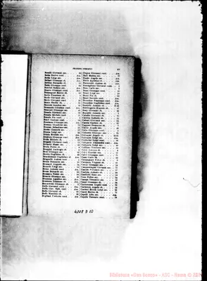 Fotogramma D 10
