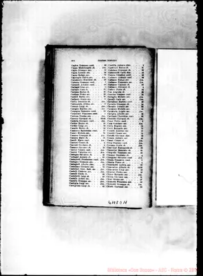Fotogramma D 11