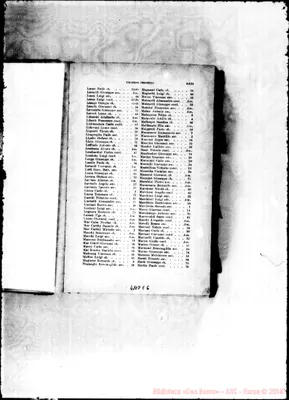 Fotogramma E 6