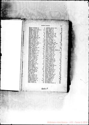 Fotogramma E 8