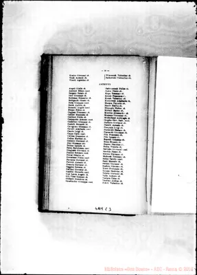 Fotogramma C 3