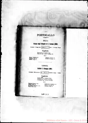Fotogramma D 3