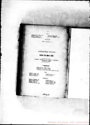 Fotogramma D 11