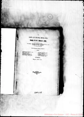 Fotogramma D 12