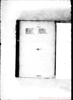 Fotogramma B 5
