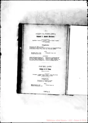 Fotogramma D 3