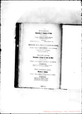 Fotogramma D 5