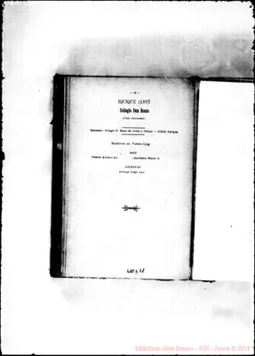 Fotogramma D 11