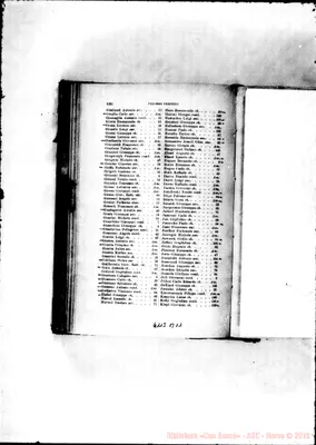Fotogramma B 11