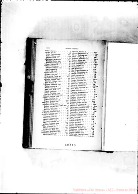 Fotogramma C 3