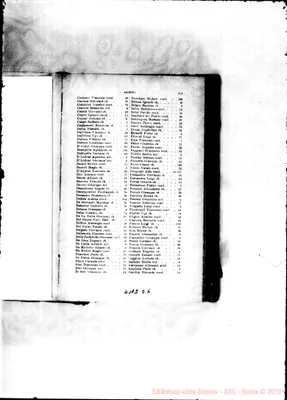 Fotogramma D 6
