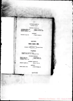 Fotogramma D 3