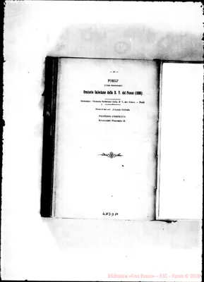 Fotogramma D 10