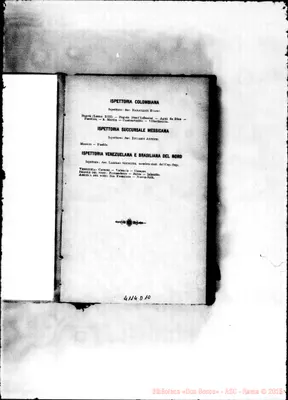 Fotogramma D 10