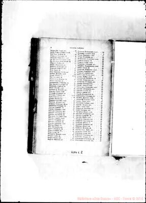 Fotogramma E 2