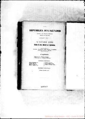 Fotogramma E 7
