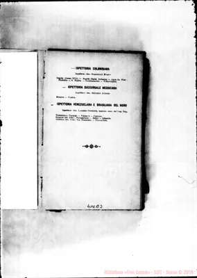 Fotogramma B 3