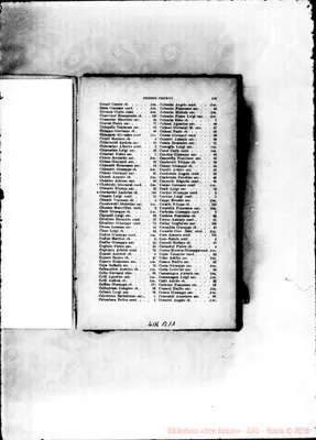 Fotogramma B 11