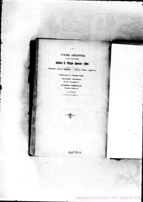 Fotogramma B 11