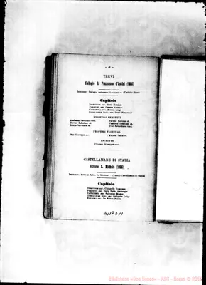 Fotogramma D 11