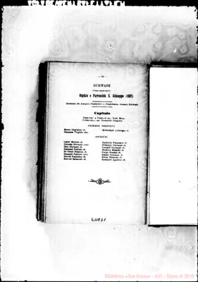 Fotogramma D 1