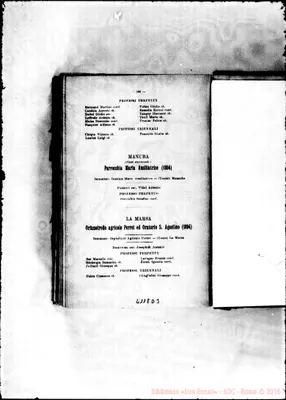 Fotogramma D 3