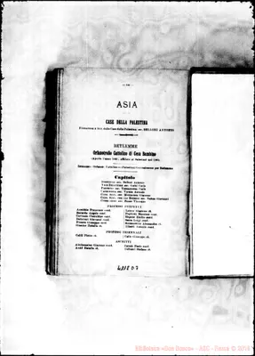 Fotogramma D 7