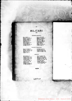 Fotogramma D 11