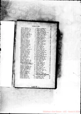 Fotogramma A 1