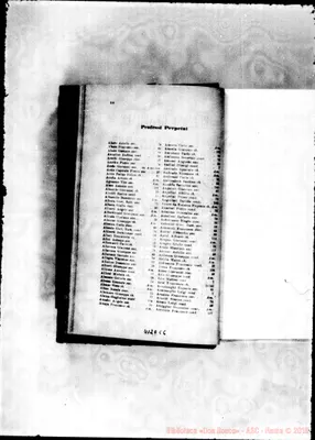 Fotogramma C 6