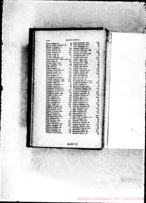 Fotogramma E 2